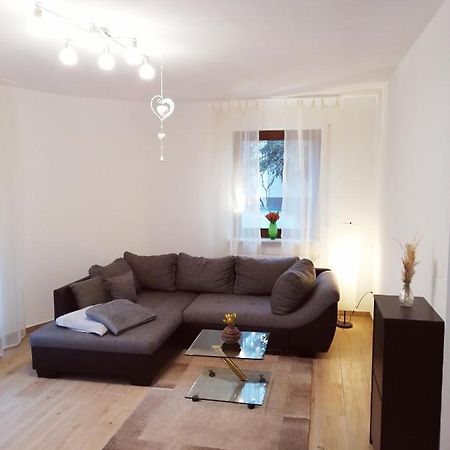 Ebenerdige Ferienwohnung mit großer Terrasse in der Nähe des Waldes, zum wohlfühlen Schoneck Exterior foto