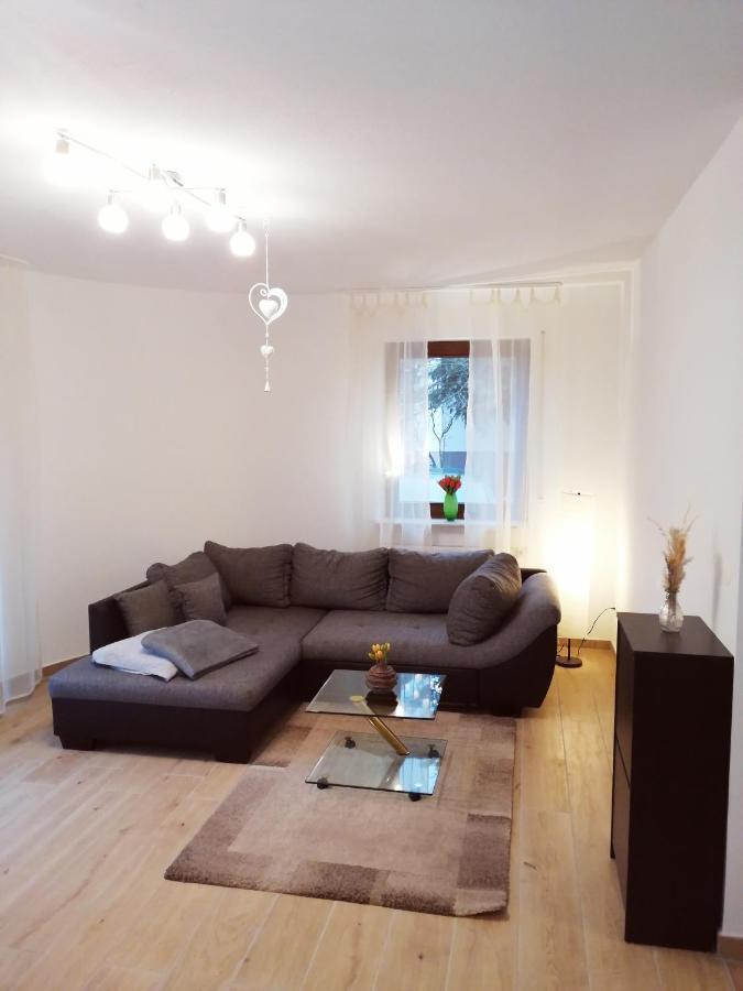 Ebenerdige Ferienwohnung mit großer Terrasse in der Nähe des Waldes, zum wohlfühlen Schoneck Exterior foto